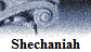 Shechaniah