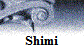Shimi