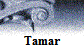 Tamar