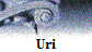 Uri