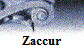Zaccur