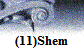 (11)Shem