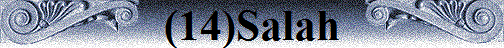 (14)Salah