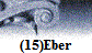 (15)Eber