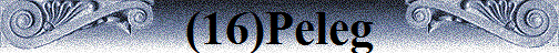 (16)Peleg