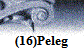 (16)Peleg