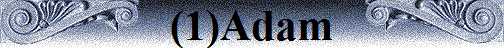 (1)Adam