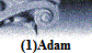 (1)Adam