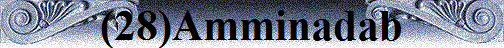 (28)Amminadab