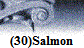 (30)Salmon