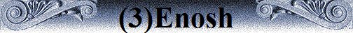 (3)Enosh