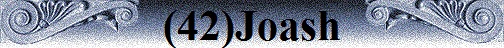 (42)Joash