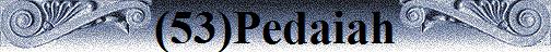 (53)Pedaiah