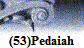 (53)Pedaiah