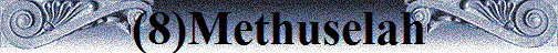 (8)Methuselah