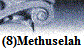 (8)Methuselah